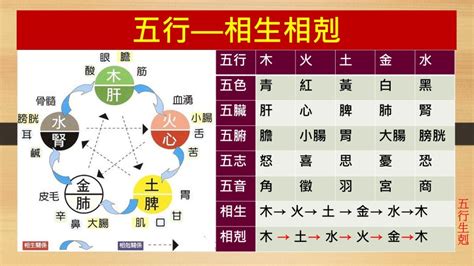 剋金|五行思想